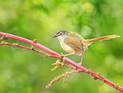 sue hsu's photo